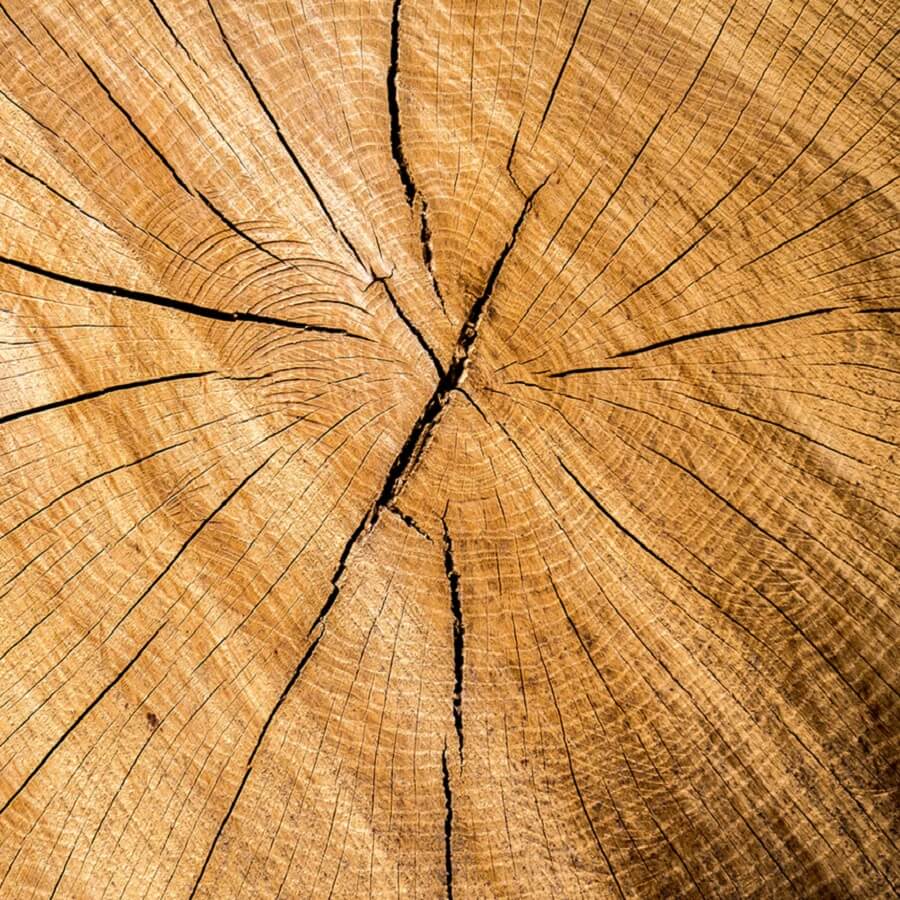 Wood HTML Features Template